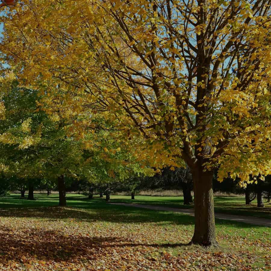 For-Mar Nature Reserve & Arboretum