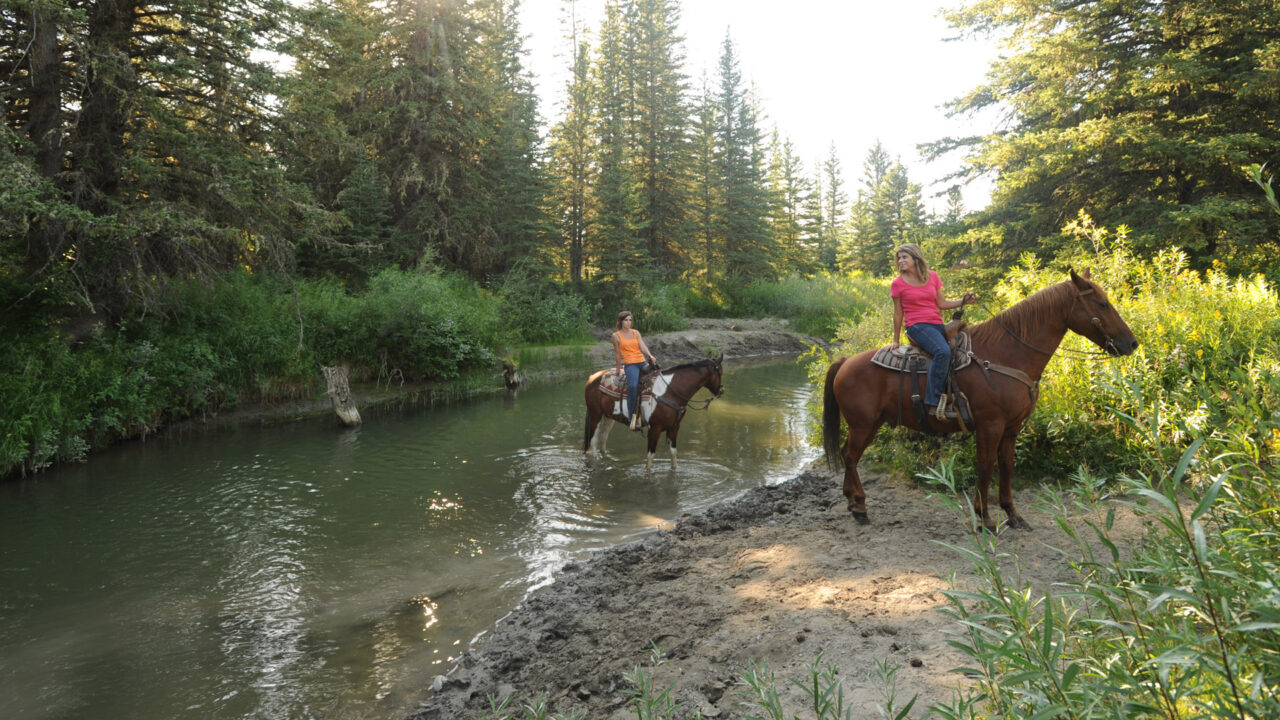 Equestrian Camping - Genesee County Parks