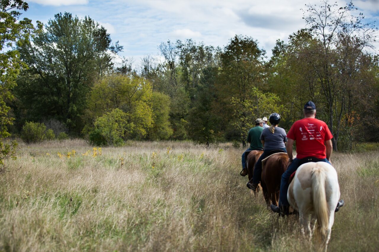 Holloway Reservoir Regional Park Genesee County Parks