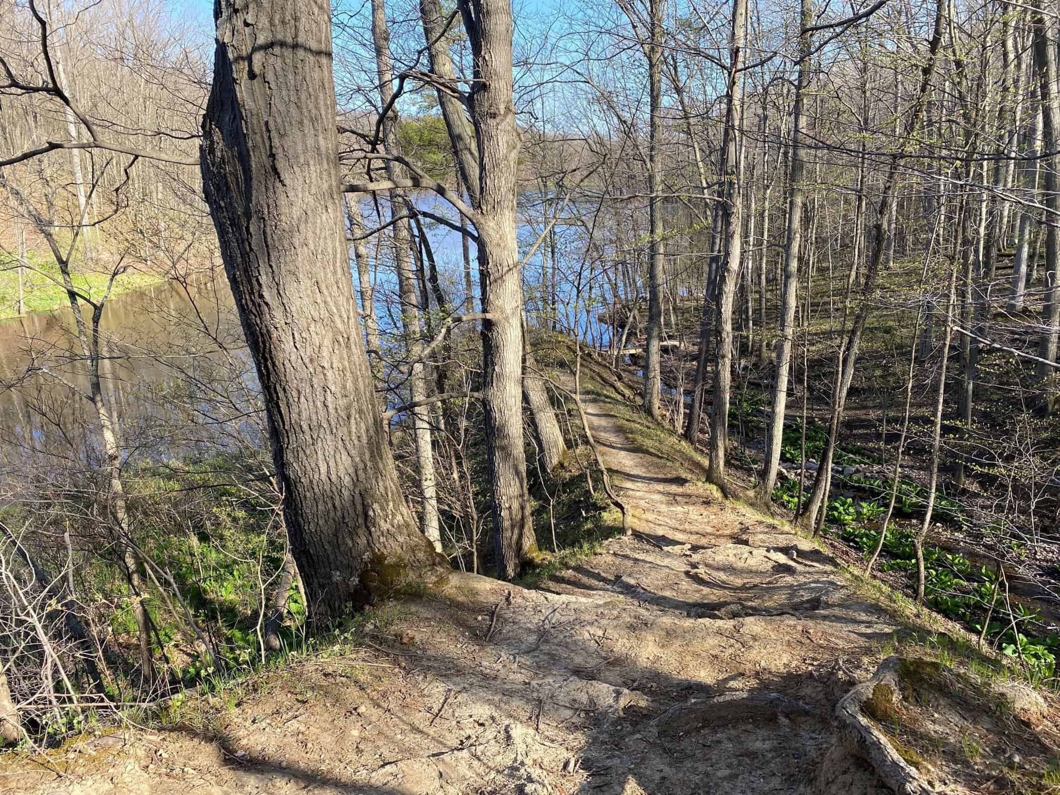 hogbacks-area-genesee-county-parks