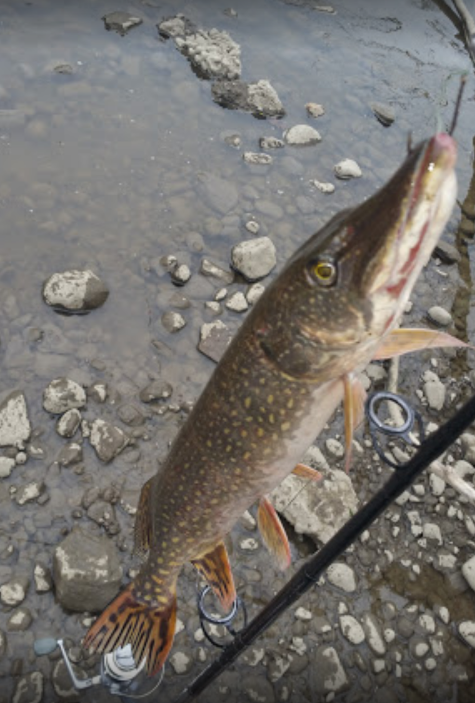 Thread Lake Park Genesee County Parks