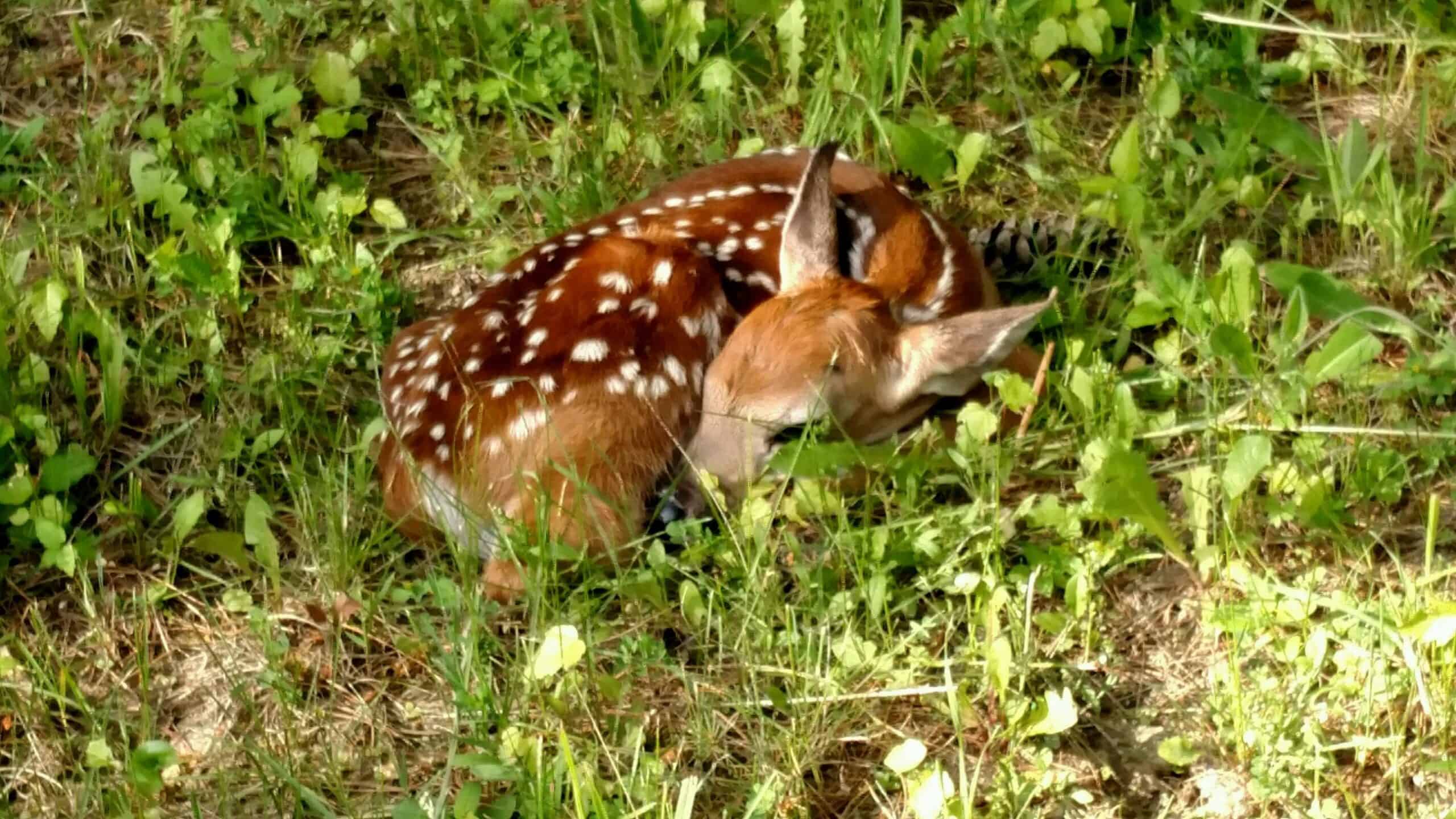 For-Mar Nature Reserve & Arboretum