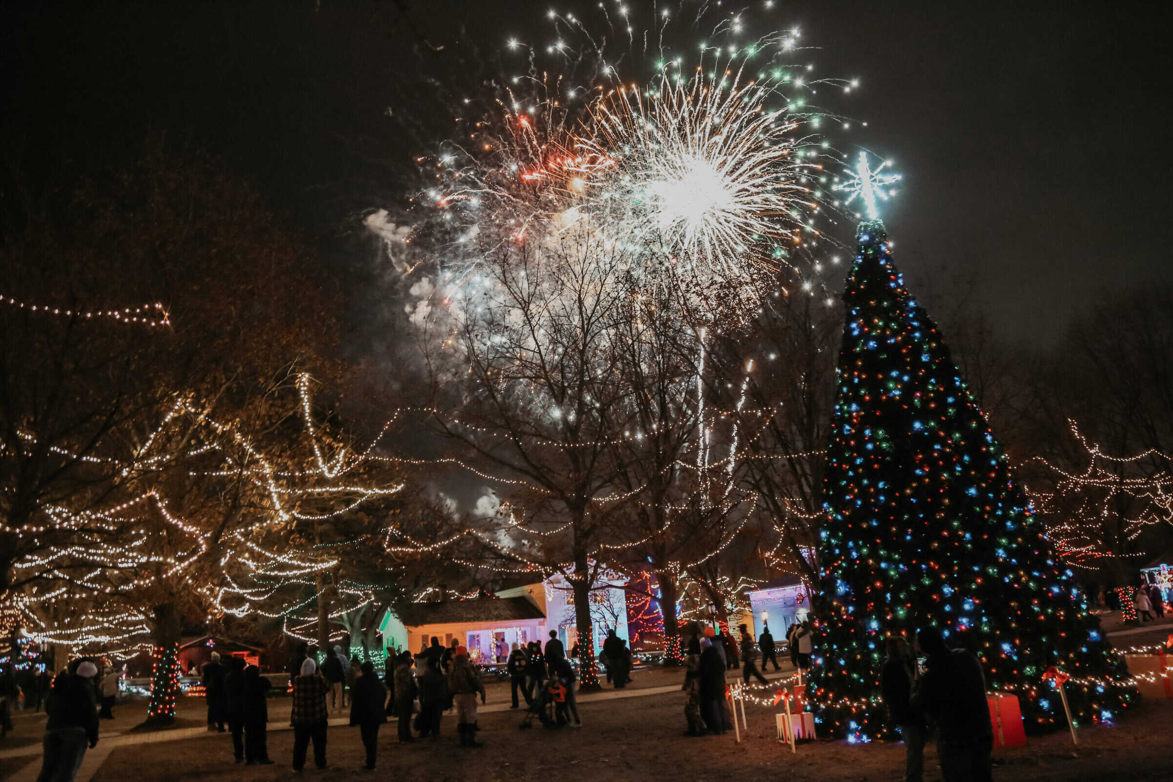 the train during the holydays 